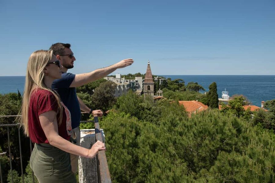 Rovinj: Luxury Island Hopping with Swimming & Snorkeling - Katarina is for optional cliff jumping