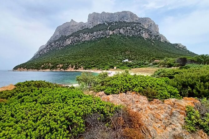 San Teodoro: Mini Tour of the Tavolara Archipelago - Why this short boat trip works well