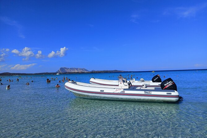 San Teodoro: Mini Tour of the Tavolara Archipelago - What the $72.18 price gets you