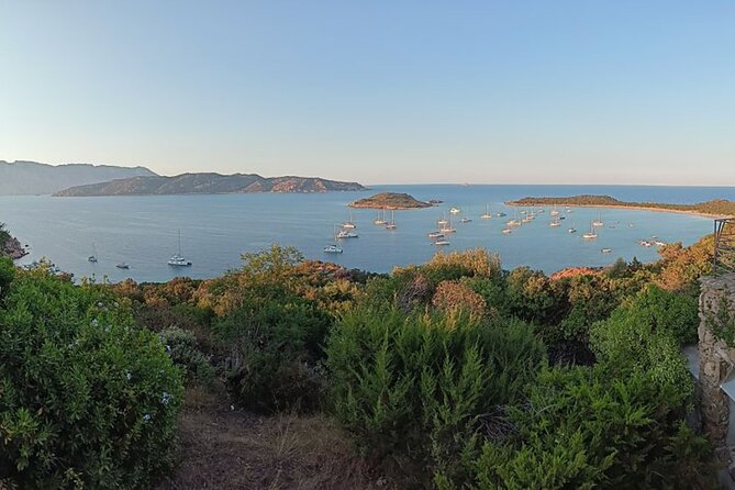San Teodoro: Mini Tour of the Tavolara Archipelago - Practical details before you reserve