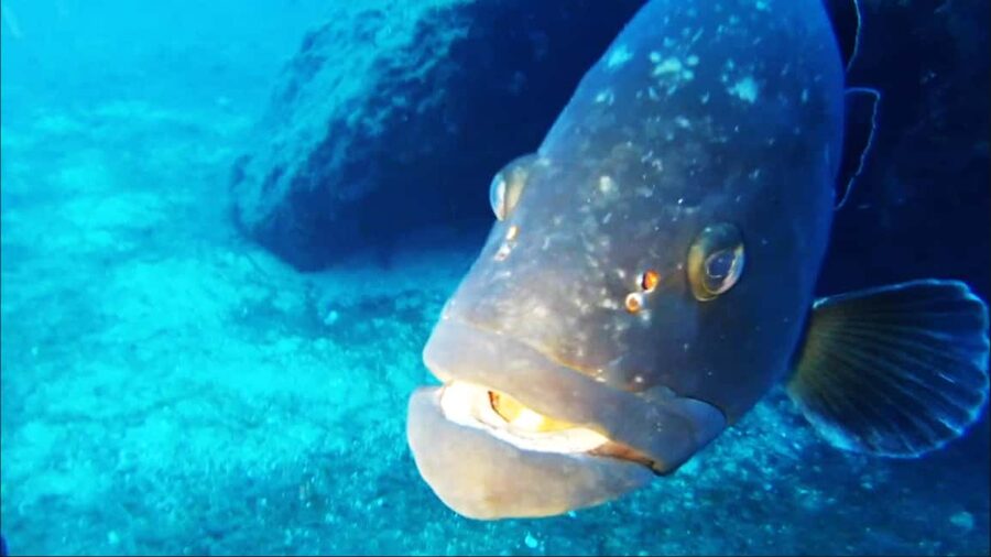 Sardinia, La Maddalena Archipelago: First Dive Experience - What to bring for a comfortable morning
