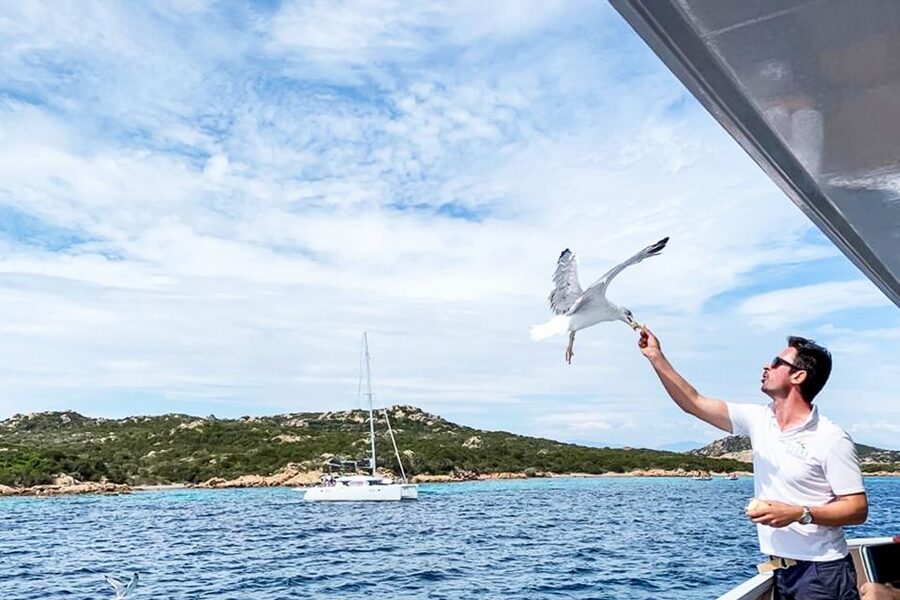Sardinia: La Maddalena Archipelago Full-Day Trip by Boat - Budelli and the Pink Beach from the water