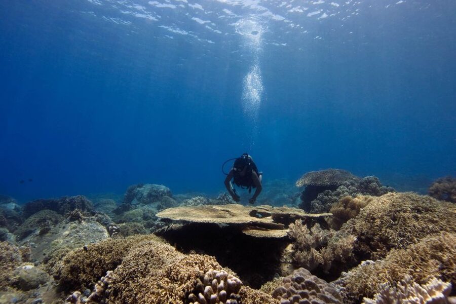 Scuba Diving 3 Islands Nha Trang Tour - The fishing village stop combines lunch and a change of pace