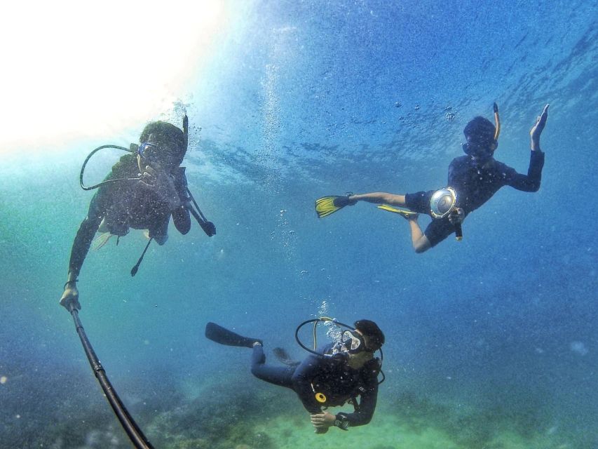 Scuba Diving 3 Islands Nha Trang Tour - Practical preparation for the eight-hour schedule