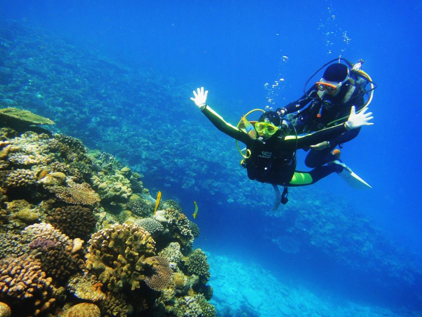 Scuba Diving 3 Islands Nha Trang Tour - Coral Bay 1 brings the best underwater action