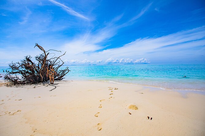 Sea Breeze Calm You On Phi Phi Islands Tour From Krabi - Loh Samah Bay is the clearest snorkeling focus