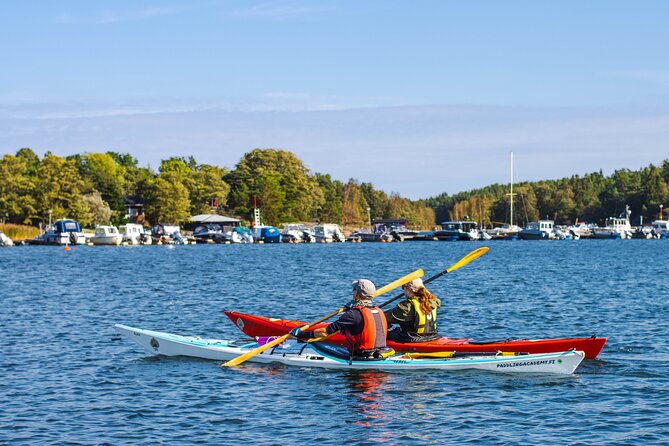 Sea Kayaking Tour 3 to 6 hours In Turku Archipelago Sea Finland - Kayak choices for children, families, and pets