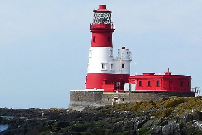 Seabird & Seal Farne Islands Cruise. 1.5 hours long. Departing from Seahouses. - What the $27.42 price means