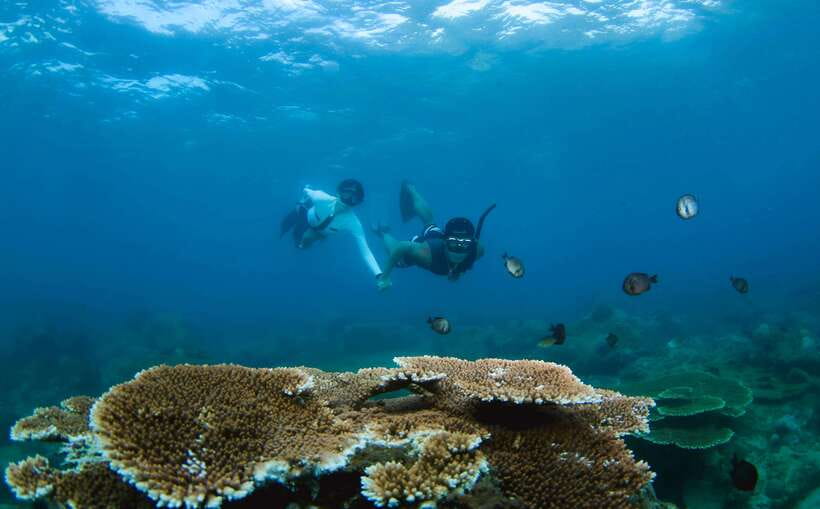 Semporna: Explore 3 Islands Tour Snorkel or Dive & Lunch - Key points to know before booking