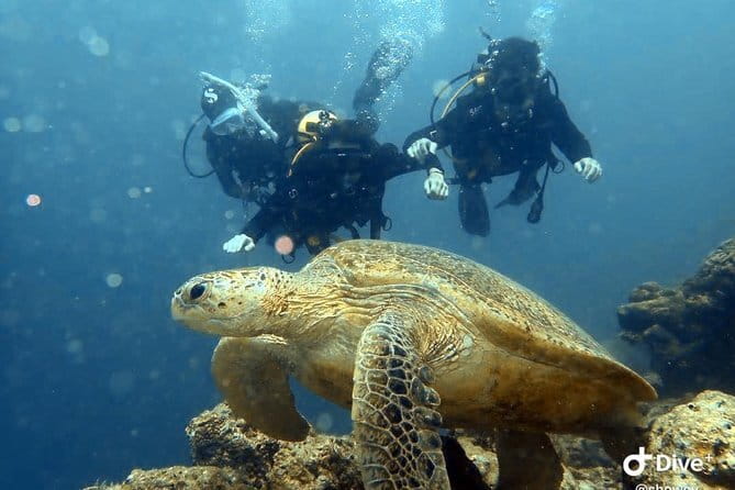 Semporna Hike Bohey 3 Island Snorkel Dive Tour and Lunch - What the $113 price covers