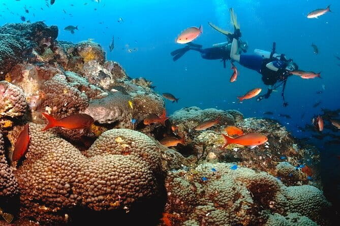 Semporna Hike Bohey 3 Island Snorkel Dive Tour and Lunch - Who should book this Semporna day trip