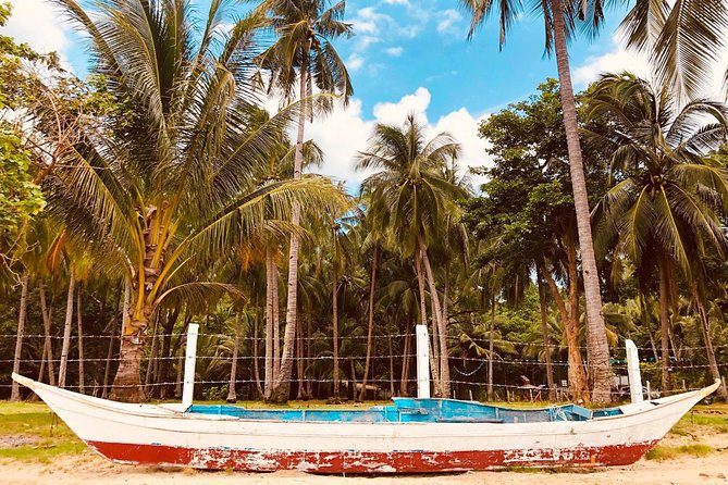 Shared Honda Bay Island Hopping Tour - A straightforward day on Honda Bay