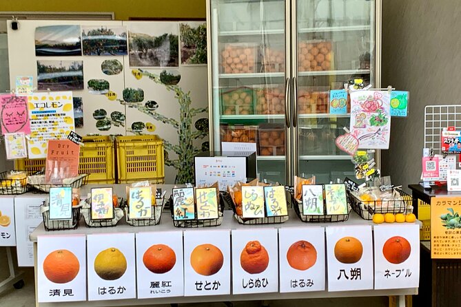 Shimanami Kaido, 1Day Relaxed Island Hopping Cycling Tour - Returning by ferry to Onomichi