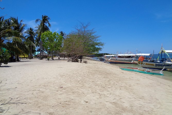 Shore excursion: Puerto Princesa Island Hopping Tour - Guides can shape the whole day