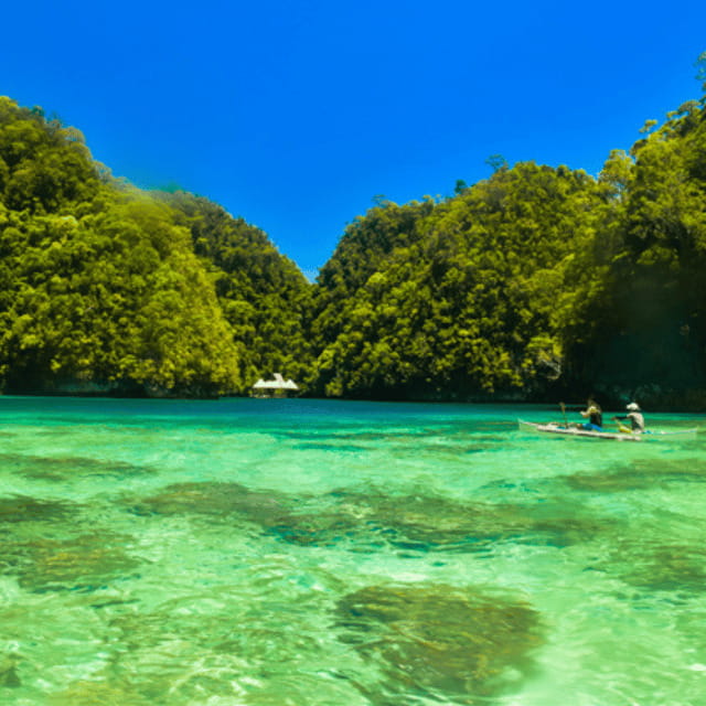 Siargao:Sohoton Island Hopping Tour with Jellyfish Sanctuary - The jellyfish encounter requires patience and confidence