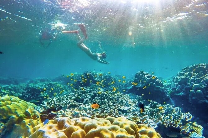 Similan Islands Day Tour from Phuket and Khaolak - Island No. 7 adds a second look underwater
