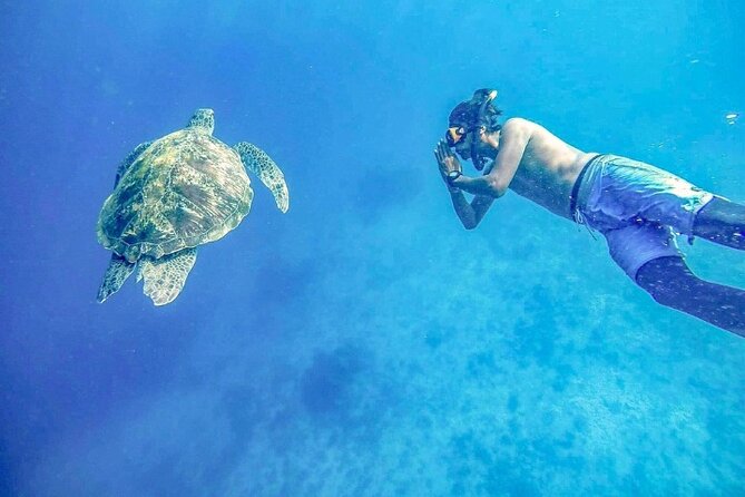 Similan Islands Day Tour from Phuket and Khaolak - What the $98.77 price really covers