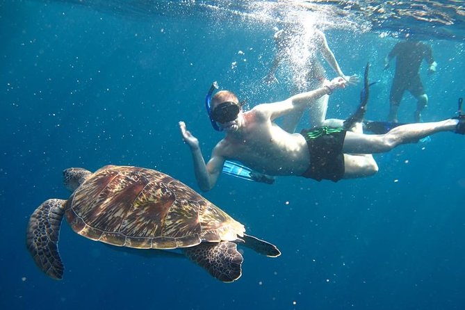 Similan Islands Day Trip by Speedboat From Phuket - Key points to know before booking