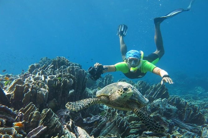 Similan Islands Day Trip by Speedboat From Phuket - Miang Island for lunch and a beach break