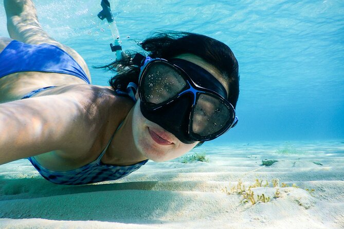 Small group tour by premium yacht to Elaphite Islands - Key points to know before booking