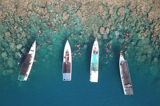 Snorkeling and Island Hopping Tour in Karimunjawa (sharing tour) - Key points at a glance
