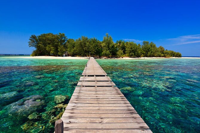 Snorkeling and Island Hopping Tour in Karimunjawa (sharing tour) - The second island and the slow trip home