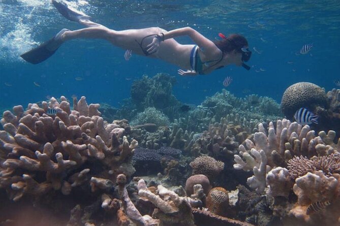 Snorkeling and Island Hopping Tour in Karimunjawa (sharing tour) - Food, equipment, and photographs: what is really included