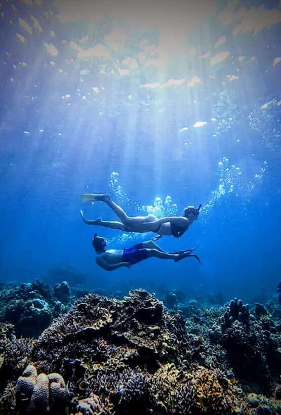 Snorkeling around 3 island & turtle sanctuary - Gili Meno and the turtle conservation stop