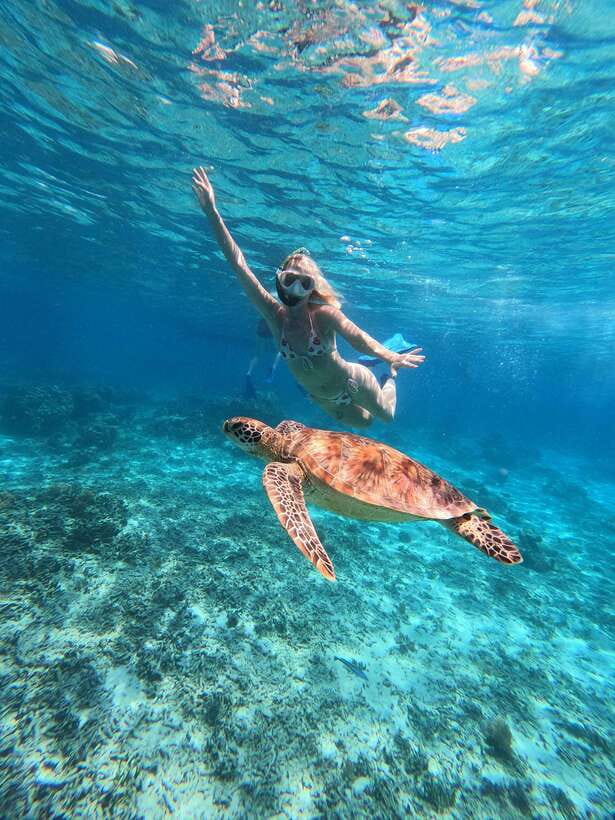 Snorkeling around 3 island & turtle sanctuary - Lunch in Gili Air is not part of the price