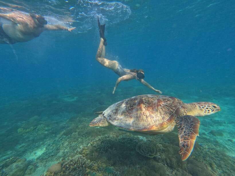 Snorkeling around 3 island & turtle sanctuary - What the shared boat format means