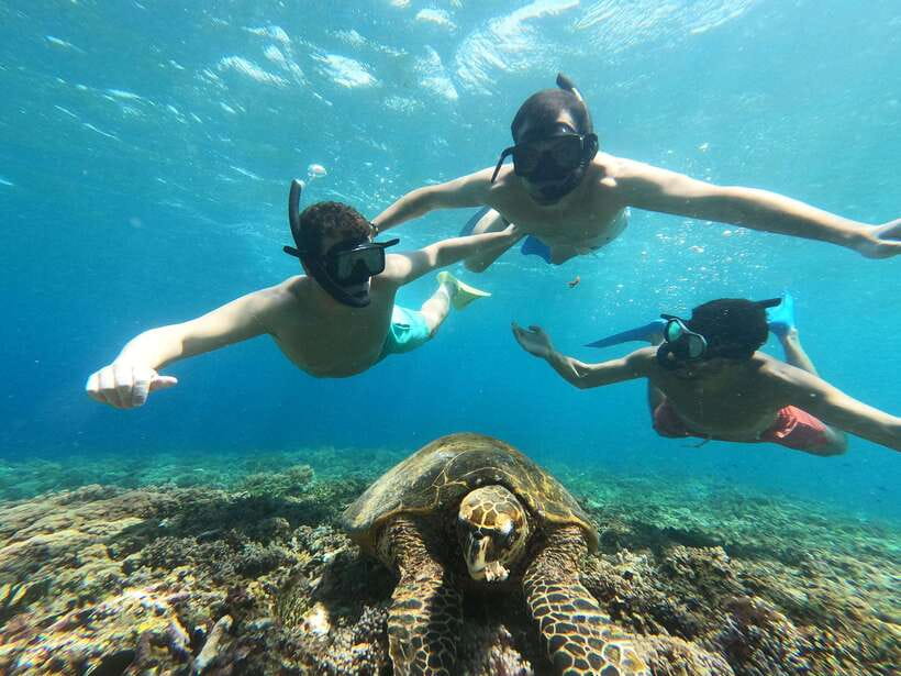 Snorkeling around 3 island & turtle sanctuary - Gear, guide, and what to bring
