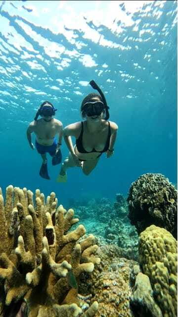 Snorkeling around 3 island & turtle sanctuary - Is the $16 price good value?