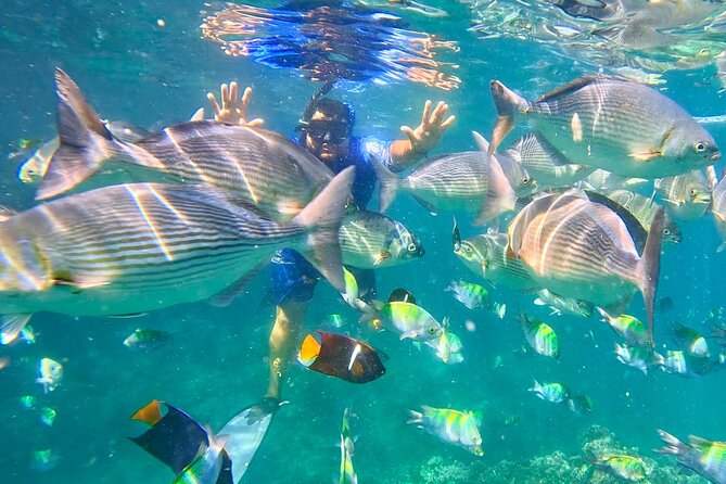 Snorkeling at Los Arcos 5 islands Hidden Beach and Cliff Jumping - Three bay experiences in about three and a half hours