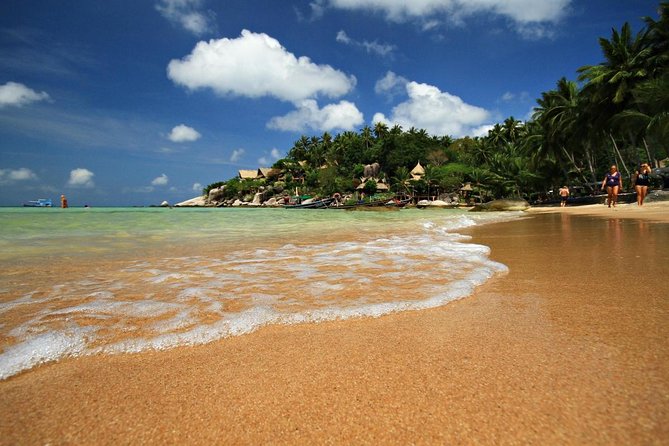 Snorkeling & Island Hopping - Key points to know before booking