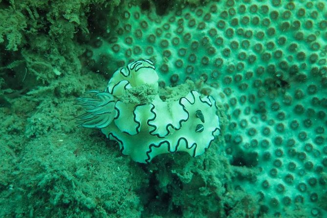 Snorkeling Tour to 4 Islands(Emerald Cave) From Koh Lanta by Speedboat - Koh Kradan gives the day a beach break