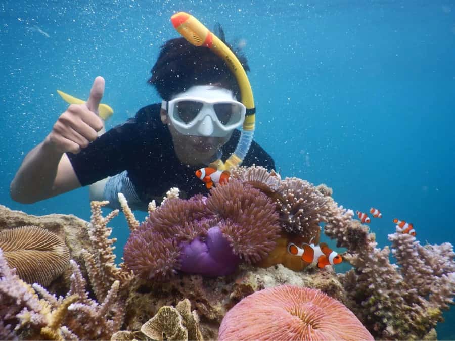 Snorkelling & islandhopping tour Karimunjawa (sharing tour) - First island, lunch, and the best pause of the day