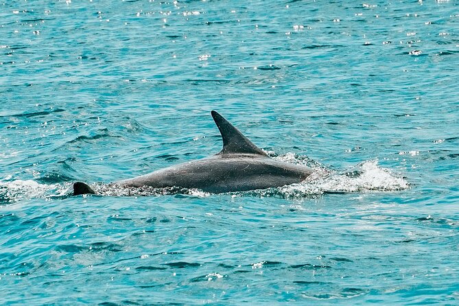 Split: Blue Lagoon & 3 Island Cruise with Wine & Snorkeling - Blue Lagoon is the main swimming break