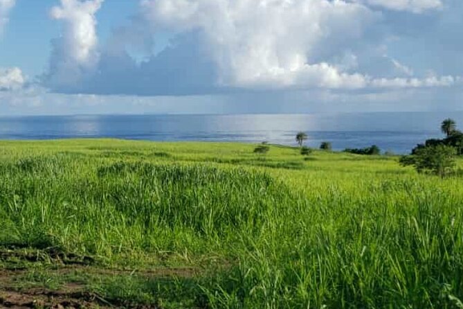 St Kitts 360 Island Sightseeing Tour - Caribelle Batik and Romney Manor