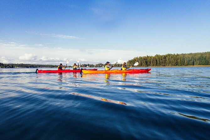 Stockholm: Kayaking tour around Vaxholm Archipelago with Fika - The equipment removes much of the guesswork