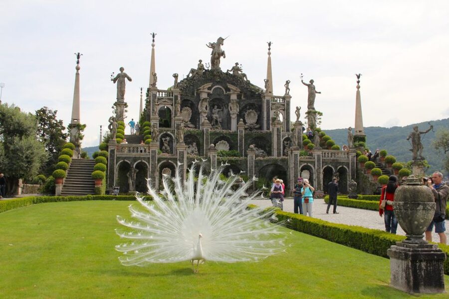Stresa: 3 Borromean Islands Boat Tour - Weather, comfort, and accessibility