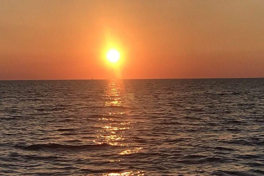 Sunset Dolphin Cruise with Dinner – Medulin Archipelago - Dinner With Fish, Meat, or Vegetarian Food