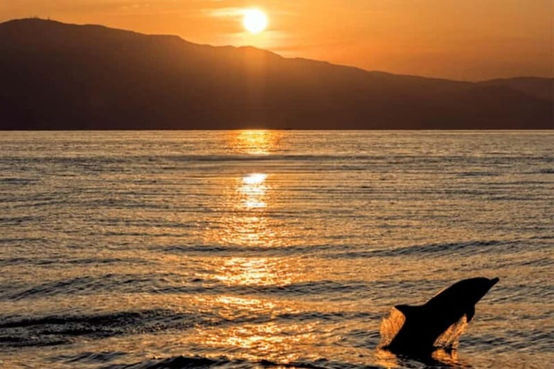 Sunset Dolphin Cruise with Dinner – Medulin Archipelago - Cape Kamenjak and the Route Toward Porer