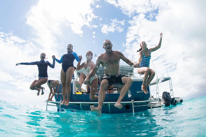 Swim with Whale Sharks in the Ningaloo Reef: 3 Island Shark Dive - Manta rays, turtles, dugongs, and whales