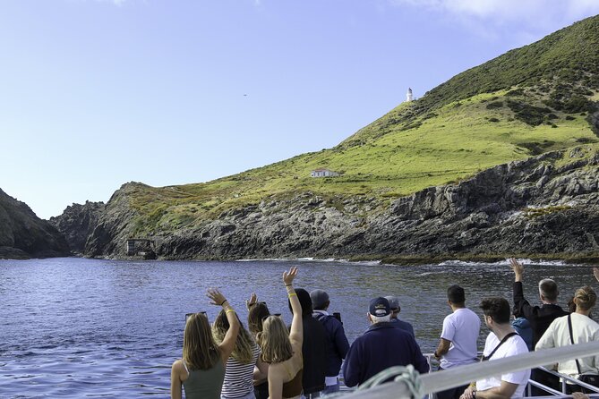 The Original Full day Bay of Islands Cruise with Dolphins - Seven hours on the historic Cream Trip route