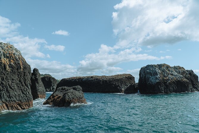 The Original Full day Bay of Islands Cruise with Dolphins - Passing Black Rocks and Marsden Cross