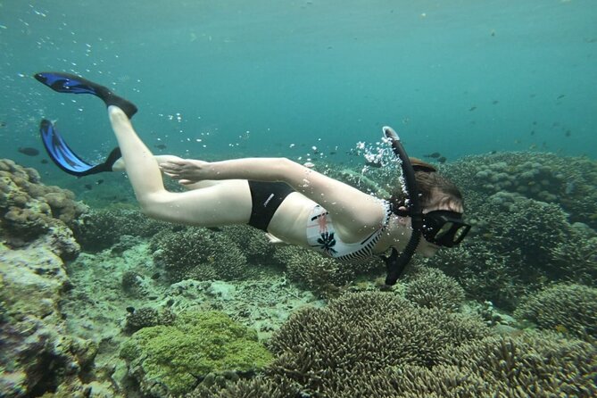 Three Islands Snorkeling (3 Spots) Manta Rays - From Lembongan - Crystal Bay adds clear water and dramatic scenery