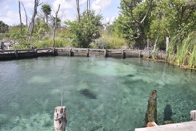 Tour Holbox - Two Island & Cenote from Cancun & Playa Del Carmen - Isla de la Pasión and Isla Pájaros keep the boat ride interesting