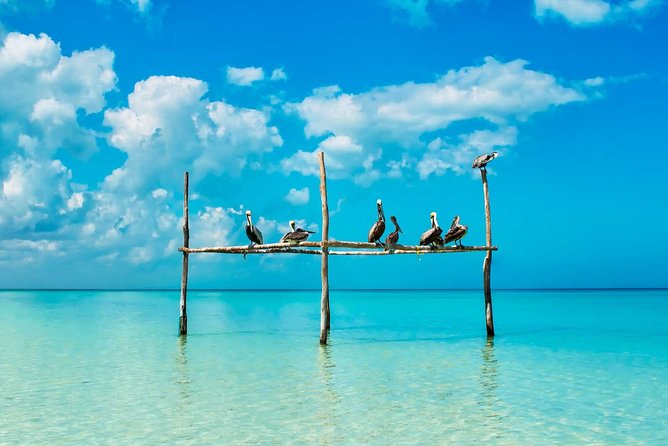 Tour Holbox - Two Island & Cenote from Cancun & Playa Del Carmen - Punta Mosquito is the quiet water stop
