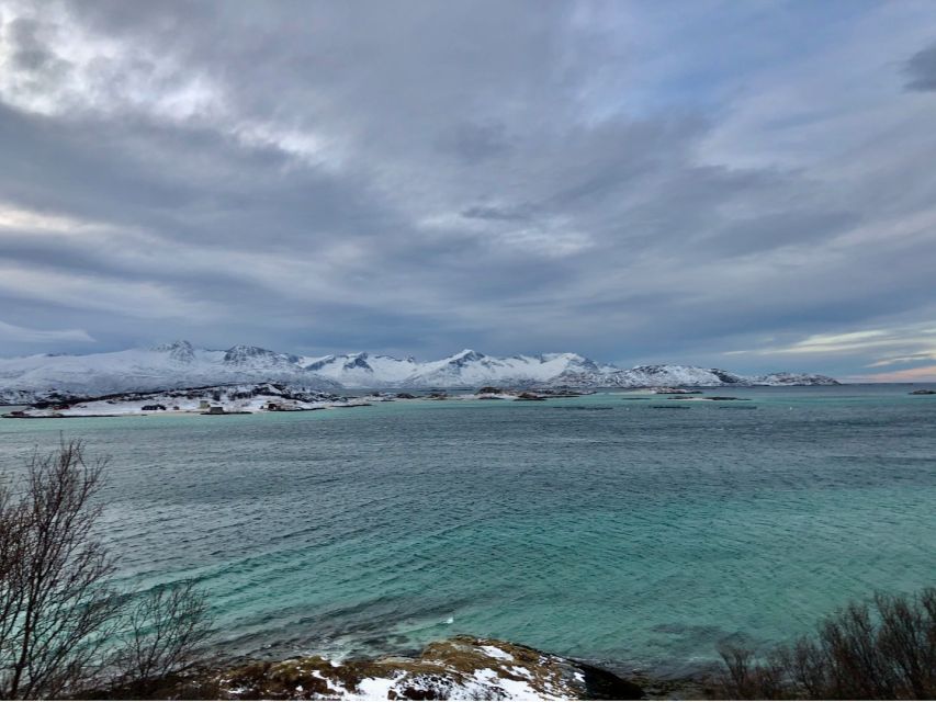 Tromsø: Fjords and Sommarøy Islands Tour with Salmon Picnic - A warm stop beside the fjord