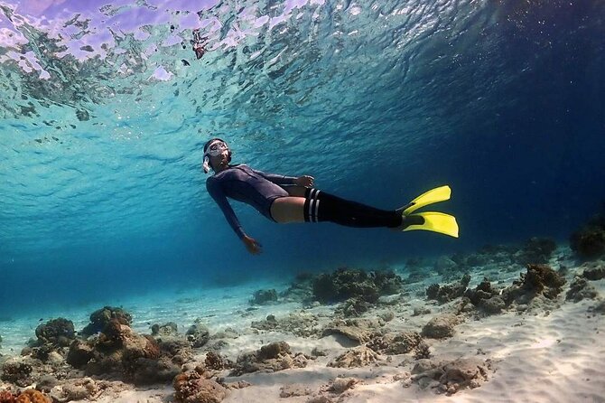 Tunku Abdul Rahman Park 2 Islands Hopping Tour from Kota Kinabalu - Manukan Island, the guaranteed first stop